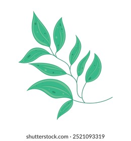 Green leafy branch with delicate natural structure Vector