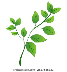 A green leafy branch with detailed leaves, presented in a vibrant graphic style, against a white background. Vector illustration