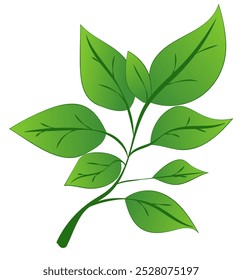 A green leafy branch with detailed leaves, presented in a vibrant graphic style, against a white background. Vector illustration