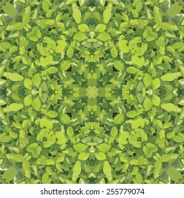 Green leafy bush texture