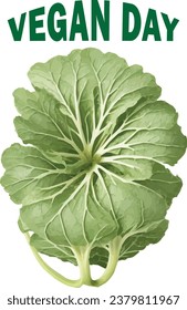 Green leafy cabbage in isolated white background for Vegan Day