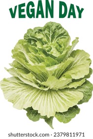 Green leafy cabbage in isolated white background for Vegan Day