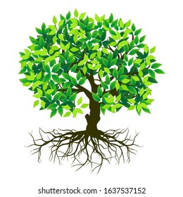 Tree Roots Vector Illustrations Mangrove Tree Stock Vector (Royalty ...