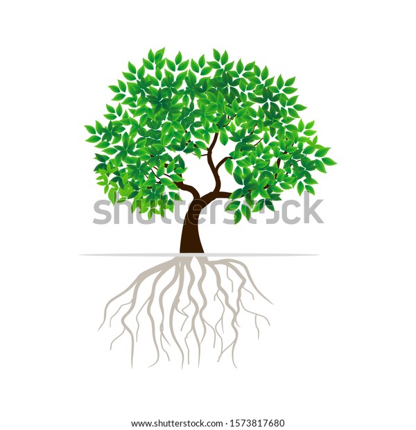 Green Leafy Mangrove Tree Rooted On Stock Vector (Royalty Free) 1573817680