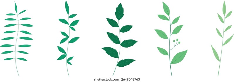 Green Leafy Plant Branch Collection, Elementos Botânicos de Vetor Plano para Decoração da Natureza, Eco Design e Ilustração Mínima