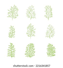 Green leafy plant with decorative art isolated vector illustration on white background.