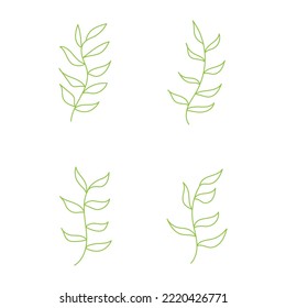 Green leafy plant with decorative art isolated vector illustration on white background.