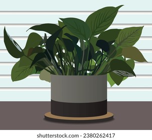 A green leafy plant is sitting in front of a window with blinds