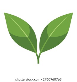Green leafy plant with two leaves and stem illustration icon