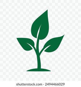 Green leafy sapling icon, symbol. Ecology icon, Small tree vector illustration. Green Seedling, tree with leaves vector. Seedling icon, vector. 