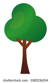 green leafy tree foliage natural image