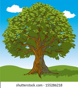 大樹 のイラスト素材 画像 ベクター画像 Shutterstock
