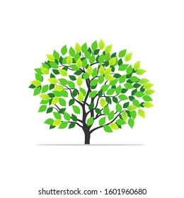 Green leafy tree plant with a white background. Vector