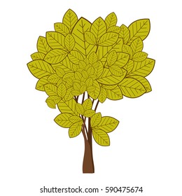 green leafy tree with ramifications nature icon vector illustration