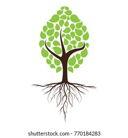 Green leafy tree with roots With trees isolated from white background. svg