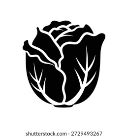 Green leafy vegetable cabbage fresh organic produce flat design vector illustration