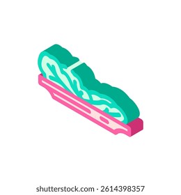green leafy vegetable diarrhea isometric icon vector. green leafy vegetable diarrhea sign. isolated symbol illustration