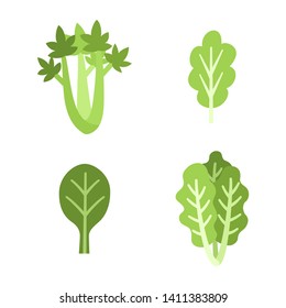 Green leafy vegetables set. Healthy organic fresh food flat illustration