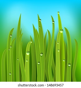 green leave background with water drops