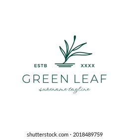 Green leave botanical spa logo inspiration vector icon illustration