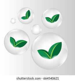 green leave in clear glossy vector