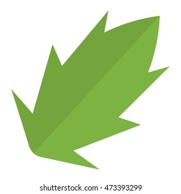 Green leave eco design elements Leaf icon vector illustration friendly nature elegance symbol