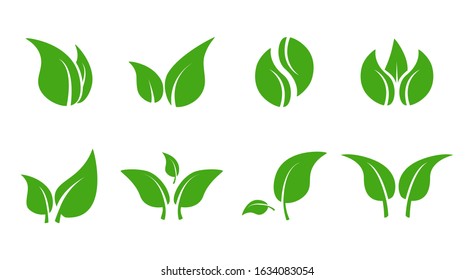Green leave iconset. Eco elements and shapes of leaves and plants isolated on white background. Vegan bio natural logos, vector illustration