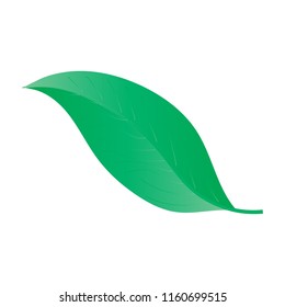 Green Leave Natural logo design