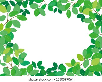 Green leave on white background