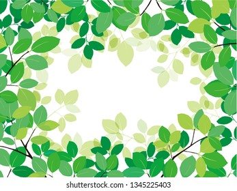 Green leave on white background