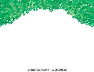 Green leave on white background