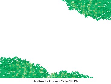 Green leave on white background