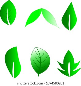 Green leave set on white background,drawing illustration vector.