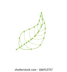 green leave vector