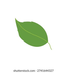 Green leave Vector, leave Vector, Free Vector, Free Green leave, Free leave