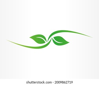 green leave vector logo design template