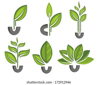 Green leaves