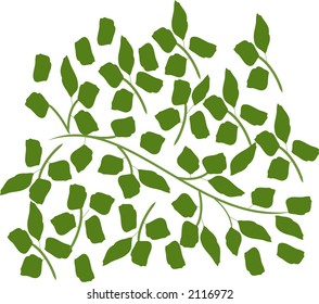 "green" leaves