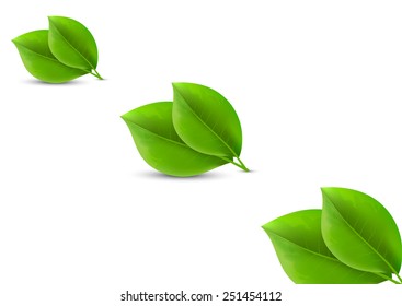 Green leaves 