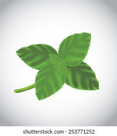 Green leaves