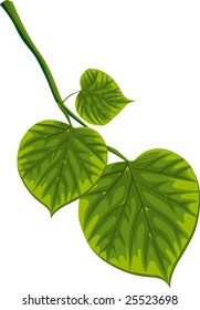 green leaves