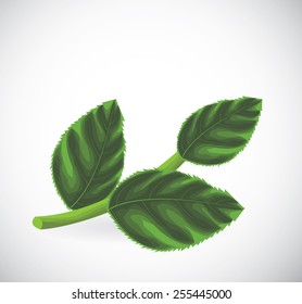 Green leaves