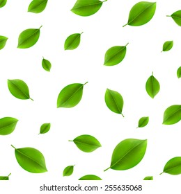 Green leaves 