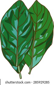 Green leaves