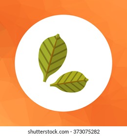 Green leaves 