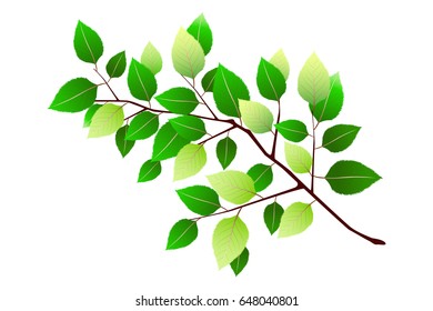 Similar Images, Stock Photos & Vectors of Green branch - 66793690