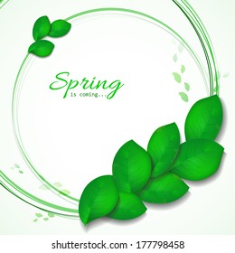 Green leaves abstract background. Abstract element with green leaves. Spring background. Vector design.  