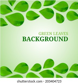 Green leaves abstract background. Vector illustration.