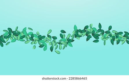 Papel de fondo azul de vectores abstractos de hojas verdes. Pancarta de follaje realista. Ilustración De Desenfoque De La Hoja Lime. Rama del Viento Verde.
