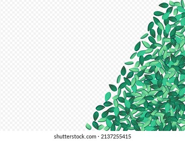Afiche De Fondo Transparente Del Vector Abstracto Verde. Patrón de hojas de primavera. Ilustración De Árbol De Oliva Verde. Rama De Caída De Foliage.